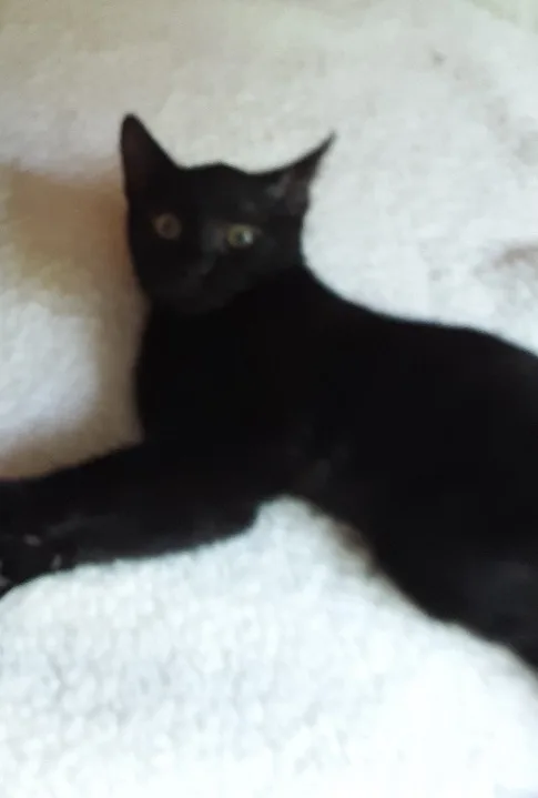 Sammy thumbnail 2