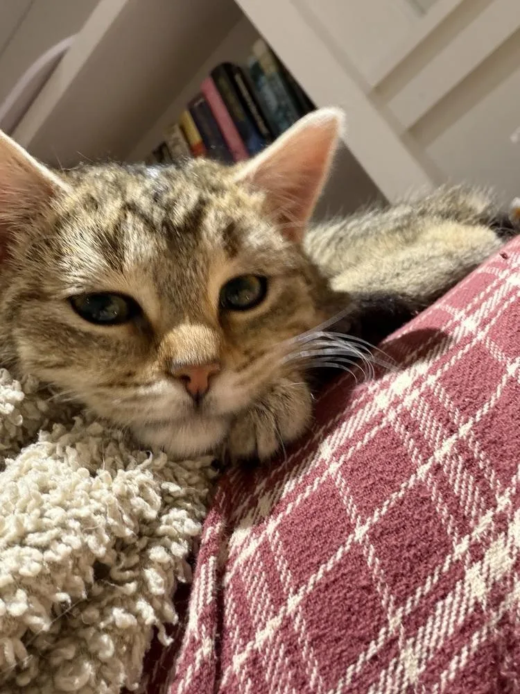 Schitt's Creek:  Alexis thumbnail 3