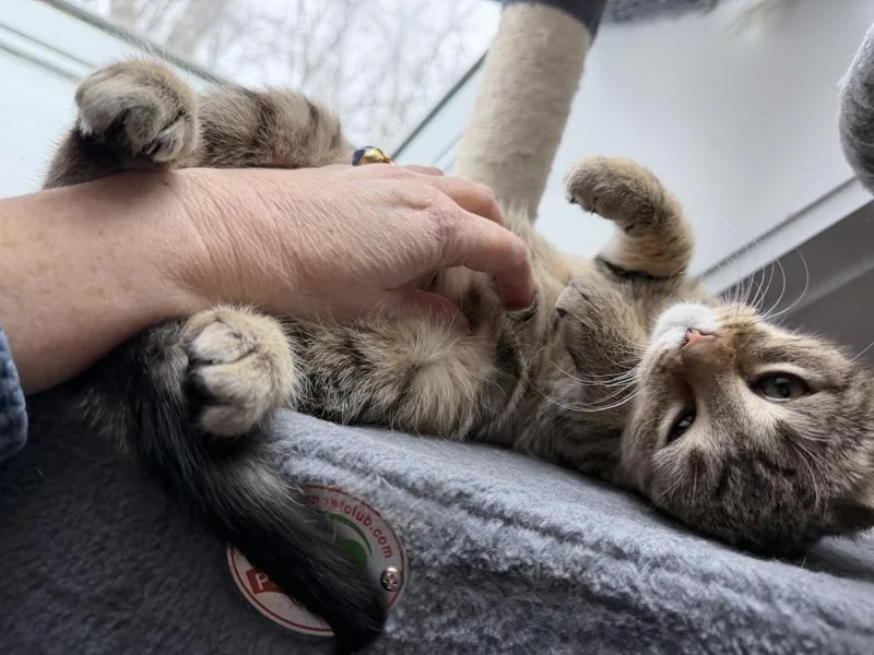 Schitt's Creek:  Alexis thumbnail 6