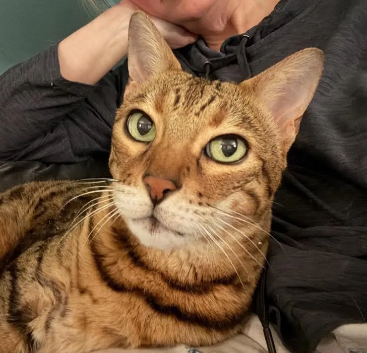 O’malley  In thumbnail 3