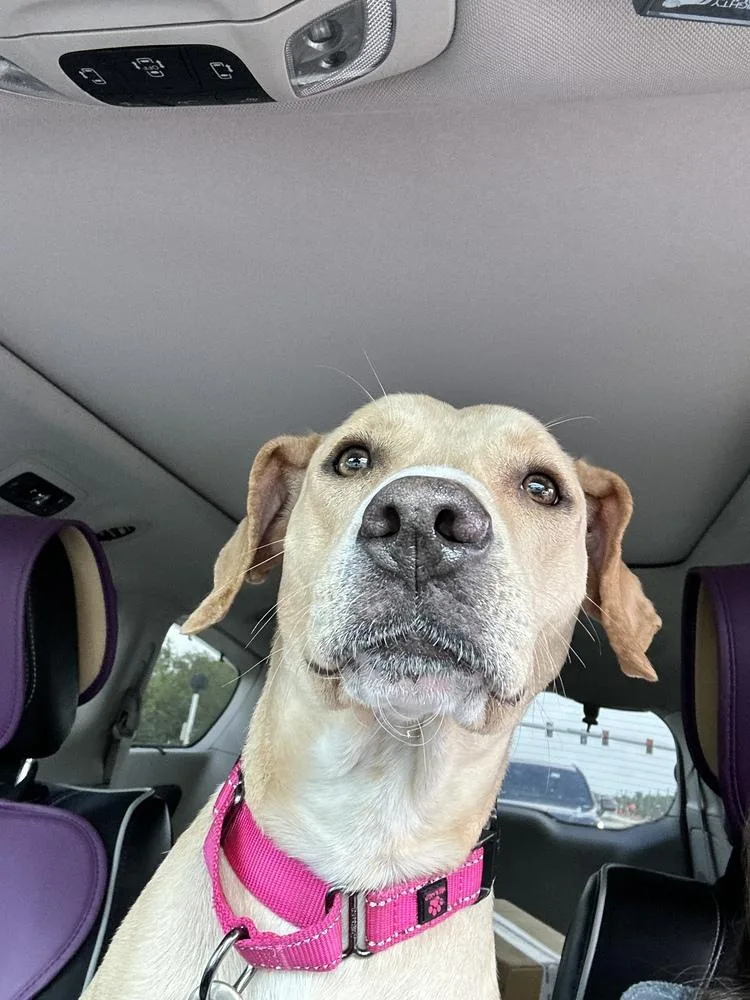 Maggie