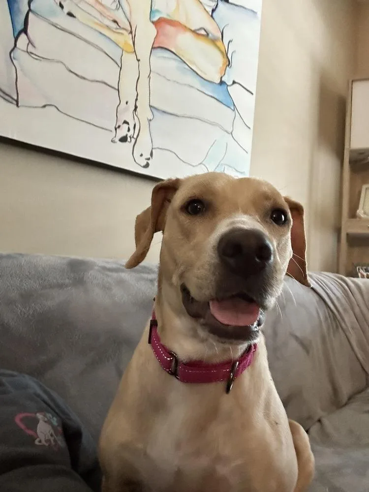 Maggie thumbnail 3