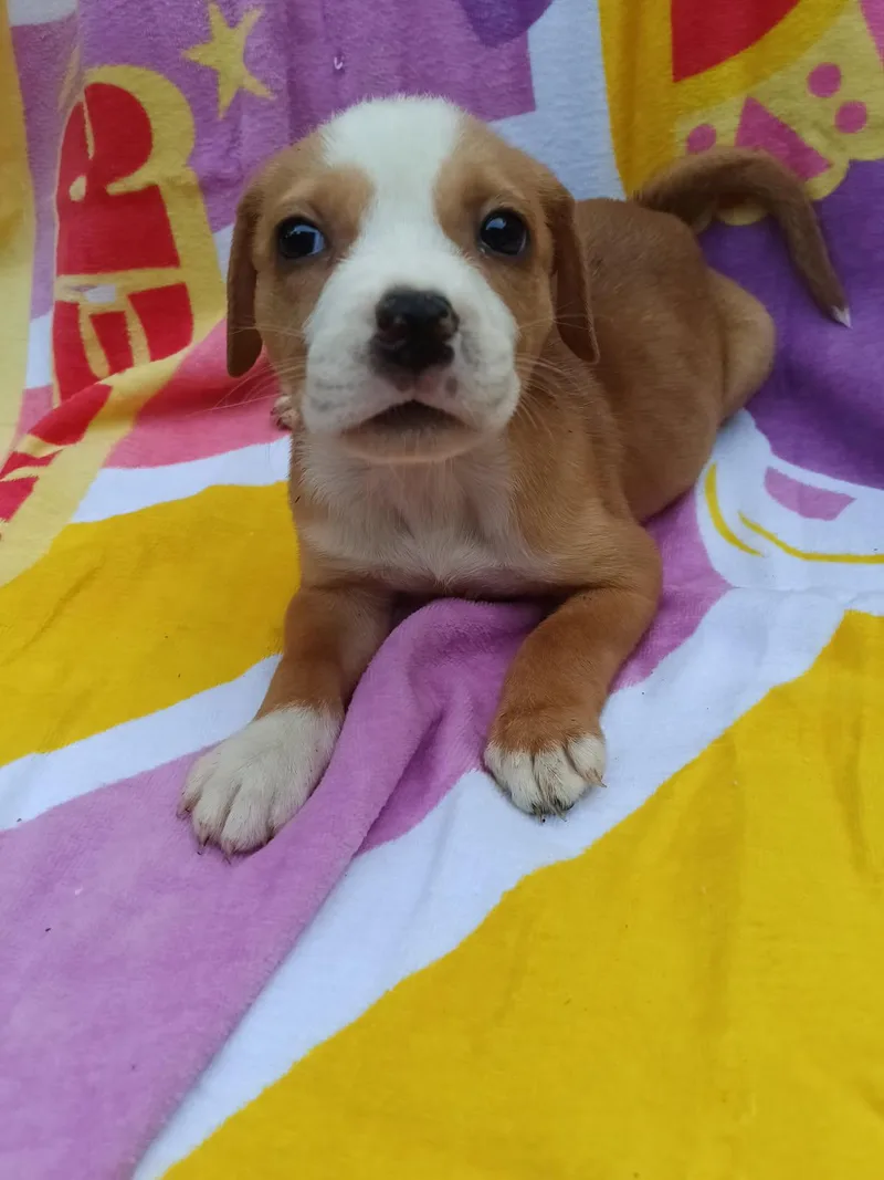 Chiquita