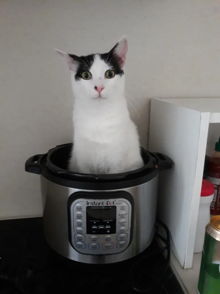 Lukeand Hummus thumbnail 4