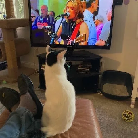 Lukeand Hummus thumbnail 5