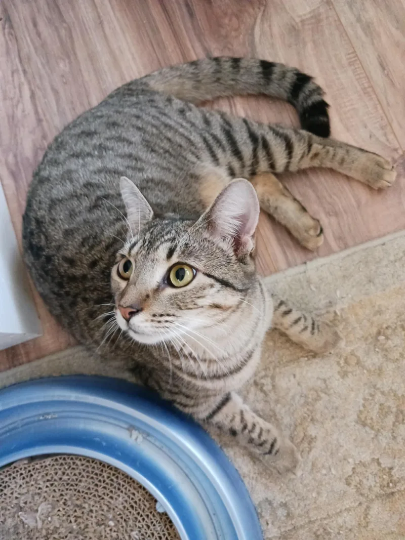 Reagan & Raymond thumbnail 2