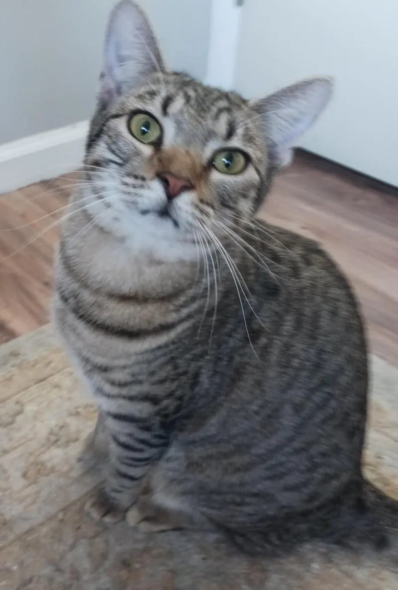 Reagan & Raymond thumbnail 3