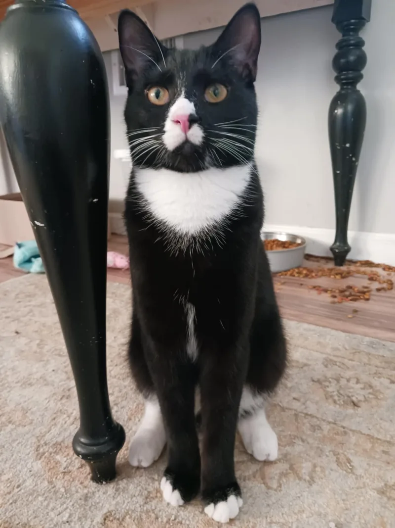 Reagan & Raymond thumbnail 5