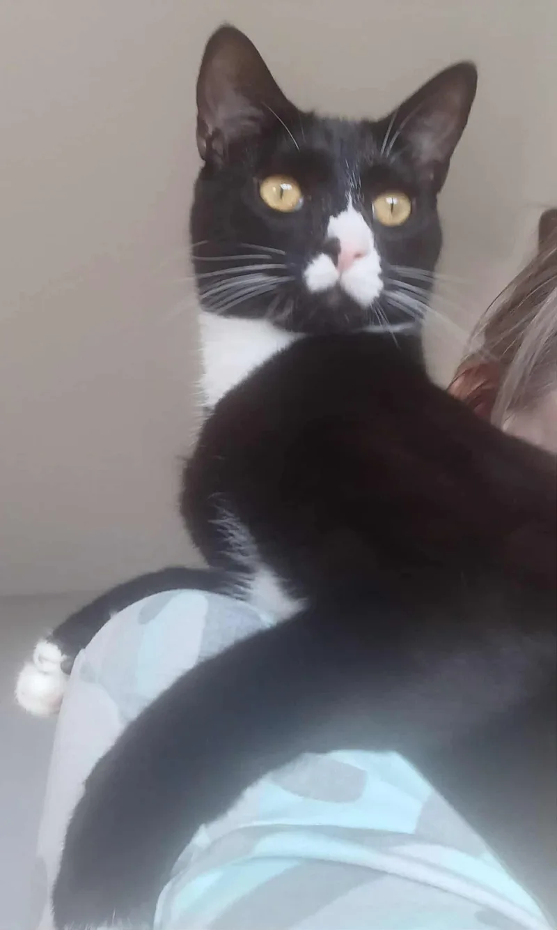 Reagan & Raymond thumbnail 6