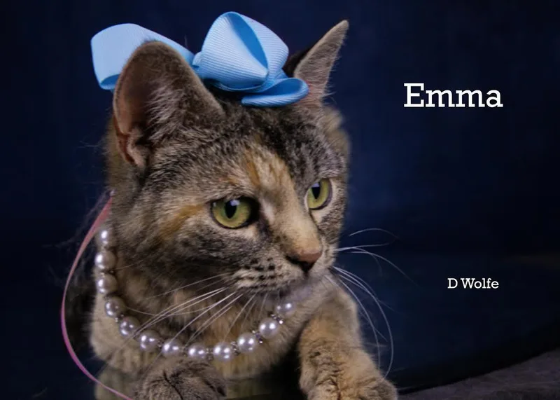 Emma thumbnail 2