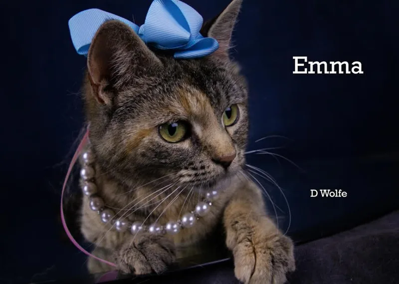 Emma thumbnail 3