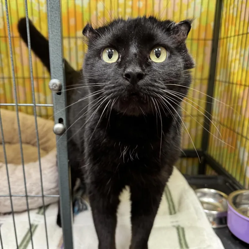 Baby Boy thumbnail 6