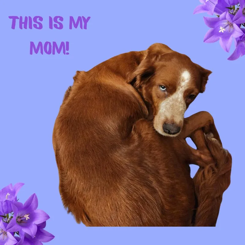 Franklin thumbnail 2