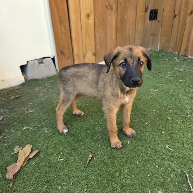 Alexander aka Alex KL thumbnail 3