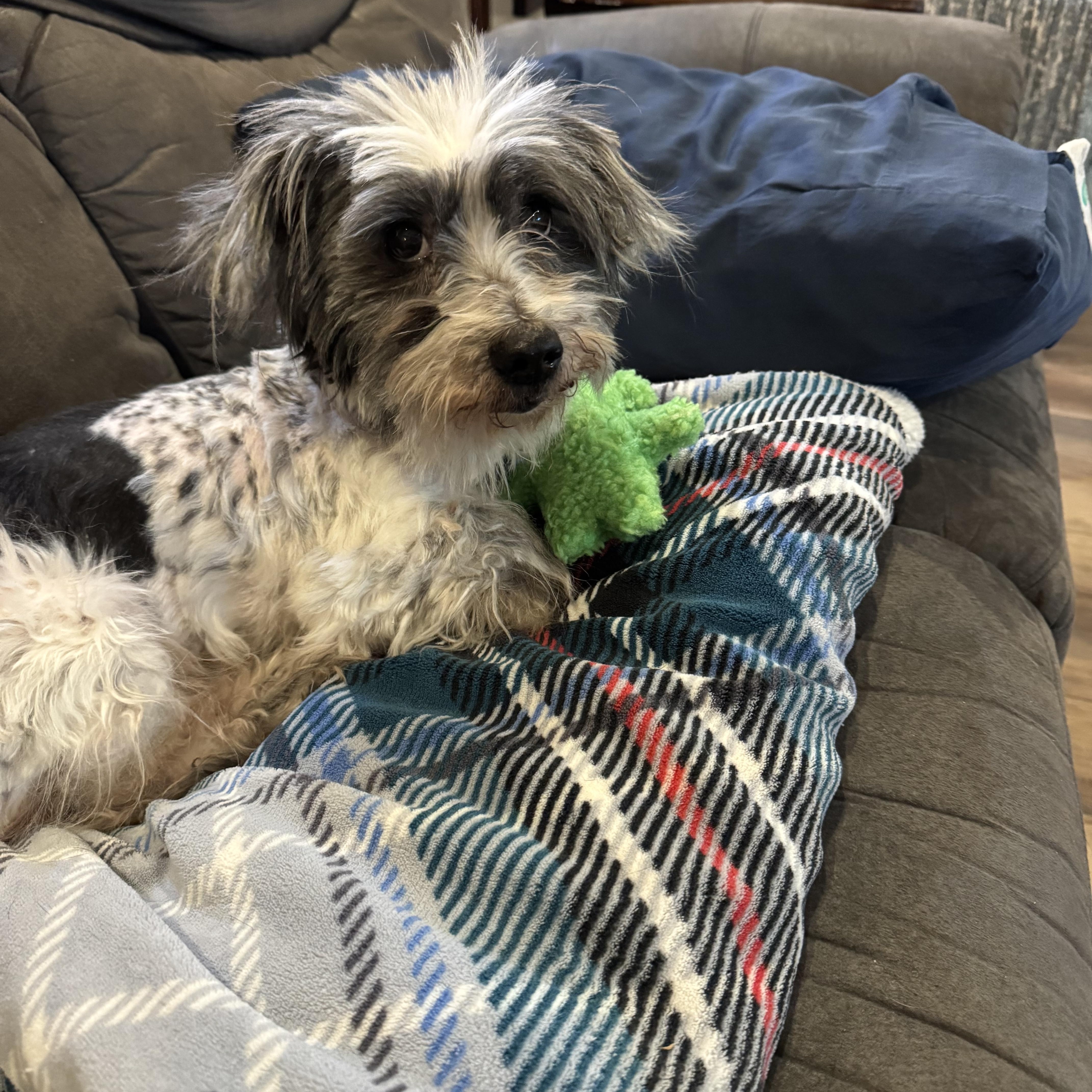 Medicloves His Teddy thumbnail 2