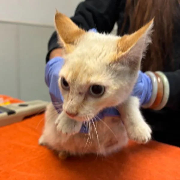 Jenna Warren thumbnail 2