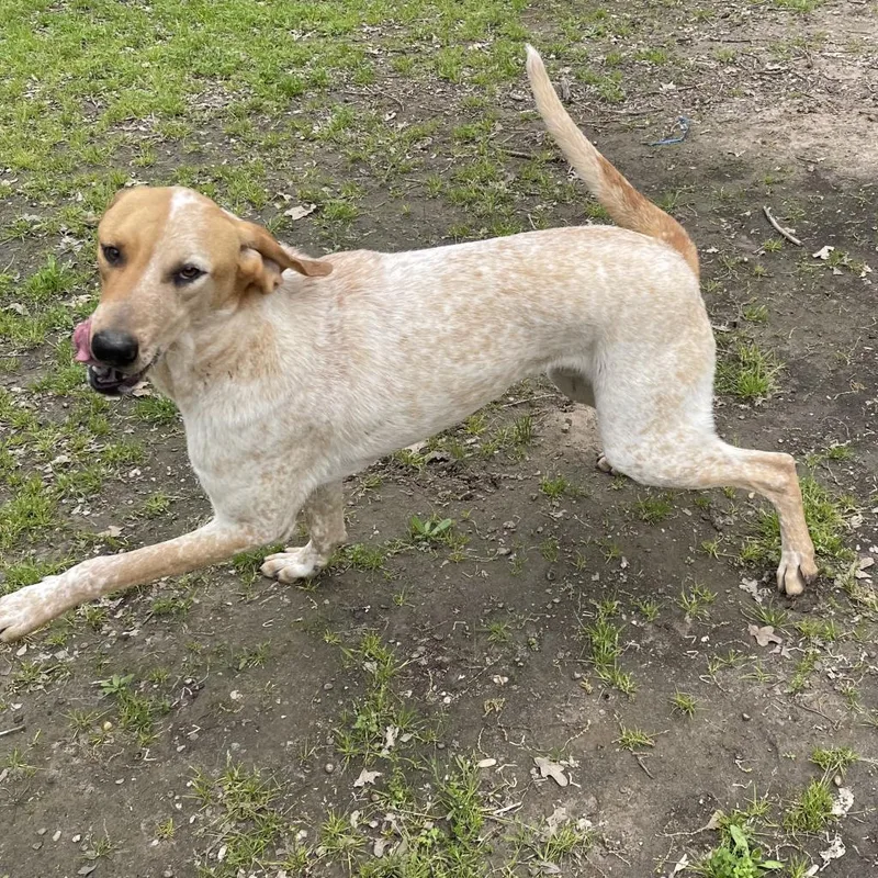 Donnelly thumbnail 4