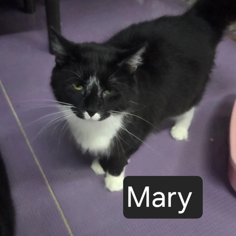Mary