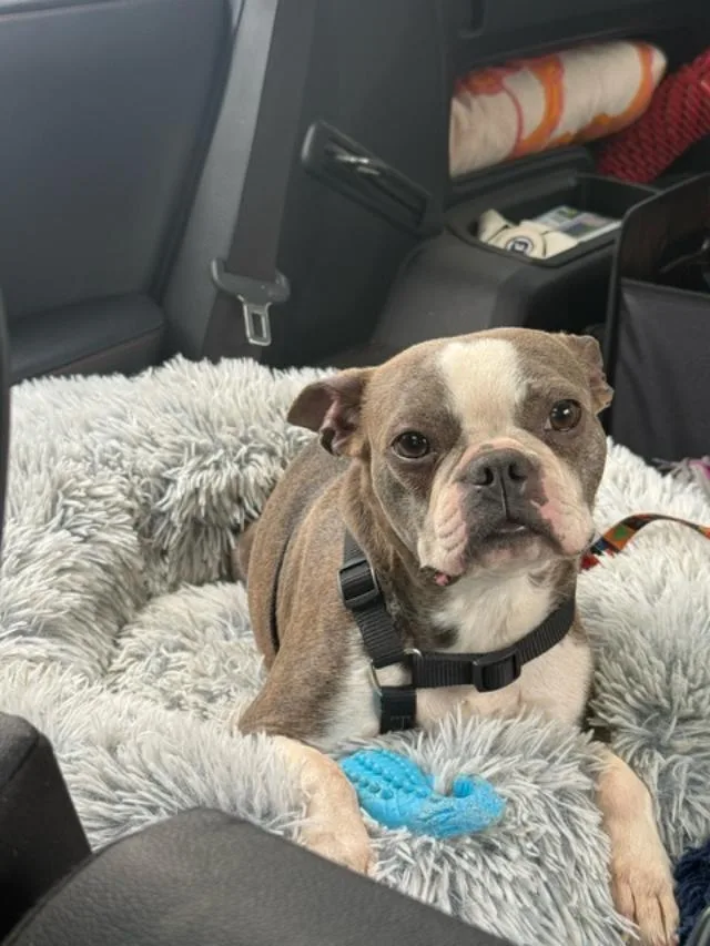 Salem In Co thumbnail 3