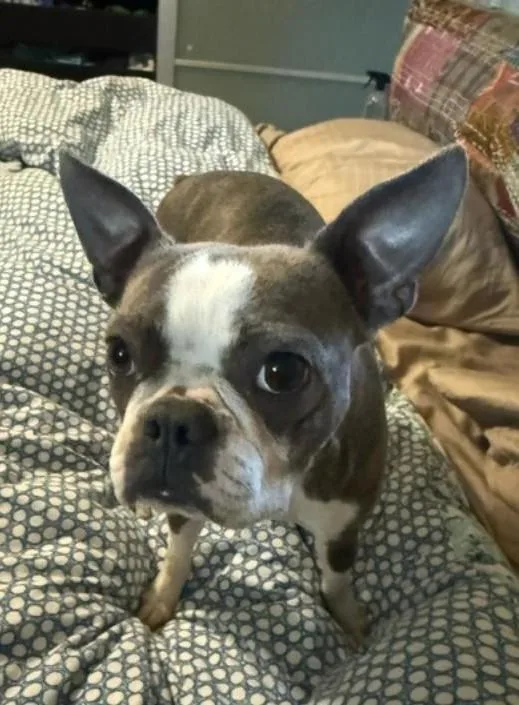 Salem In Co thumbnail 4