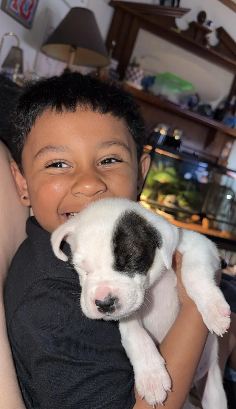 Jeremiah thumbnail 2