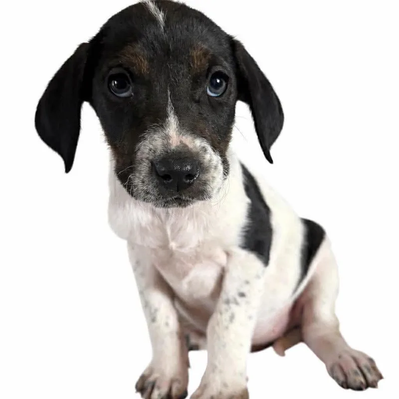 Miranda Bailey thumbnail 2