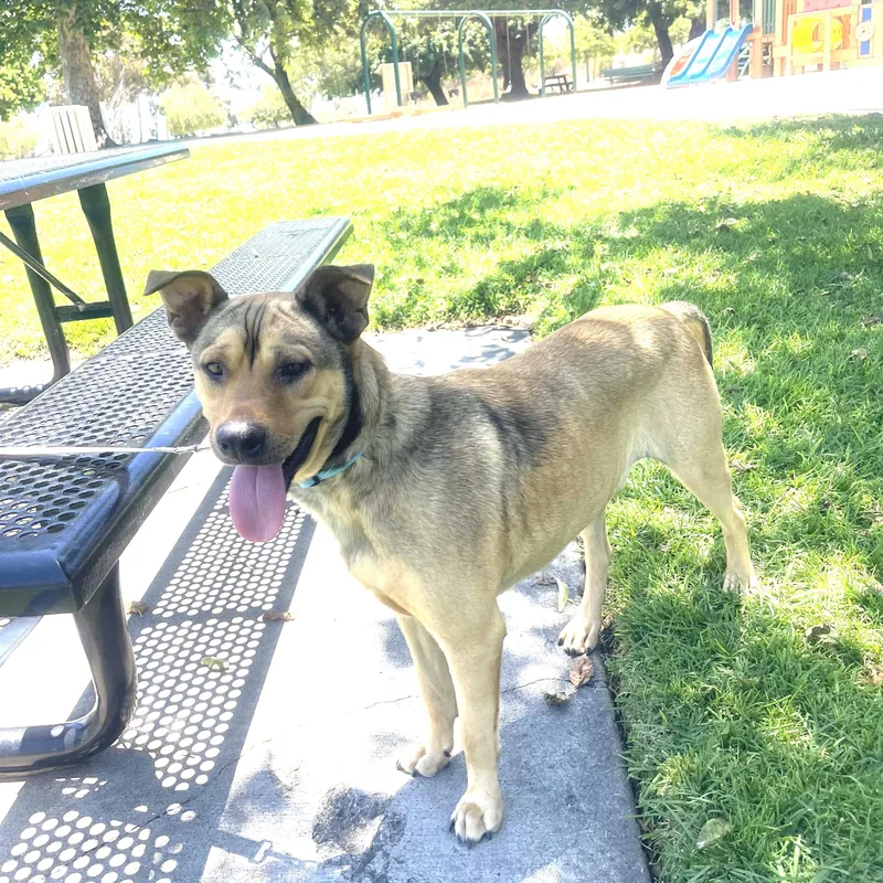 Coffie  Pounds + thumbnail 2