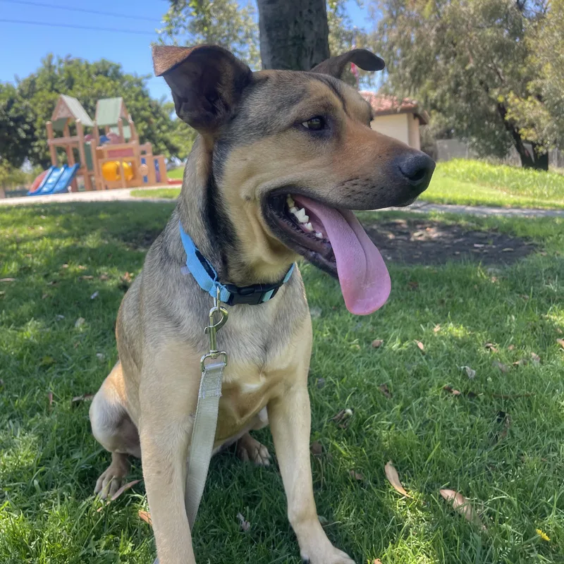 Coffie  Pounds + thumbnail 5