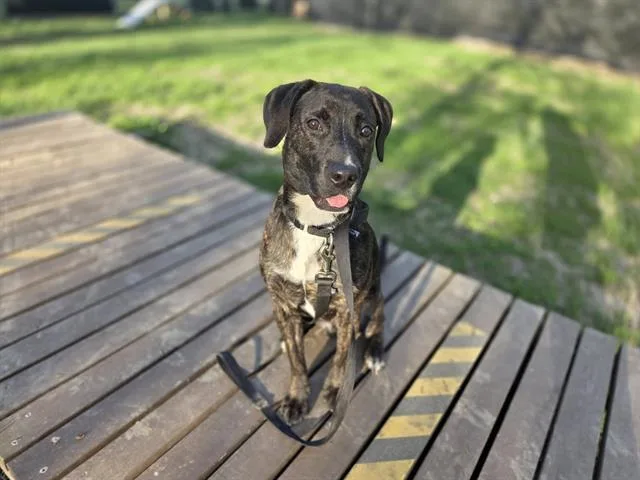 Zuko