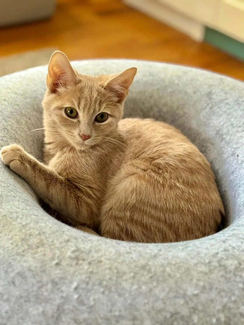 Ralph And Norton thumbnail 2