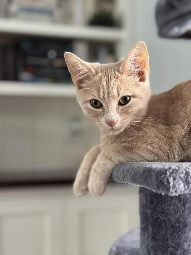 Ralph And Norton thumbnail 3