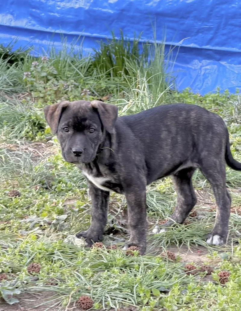 Sally Brown thumbnail 6