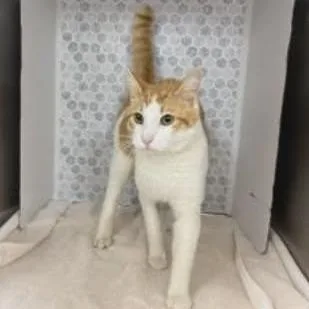 Mr Potts thumbnail 2