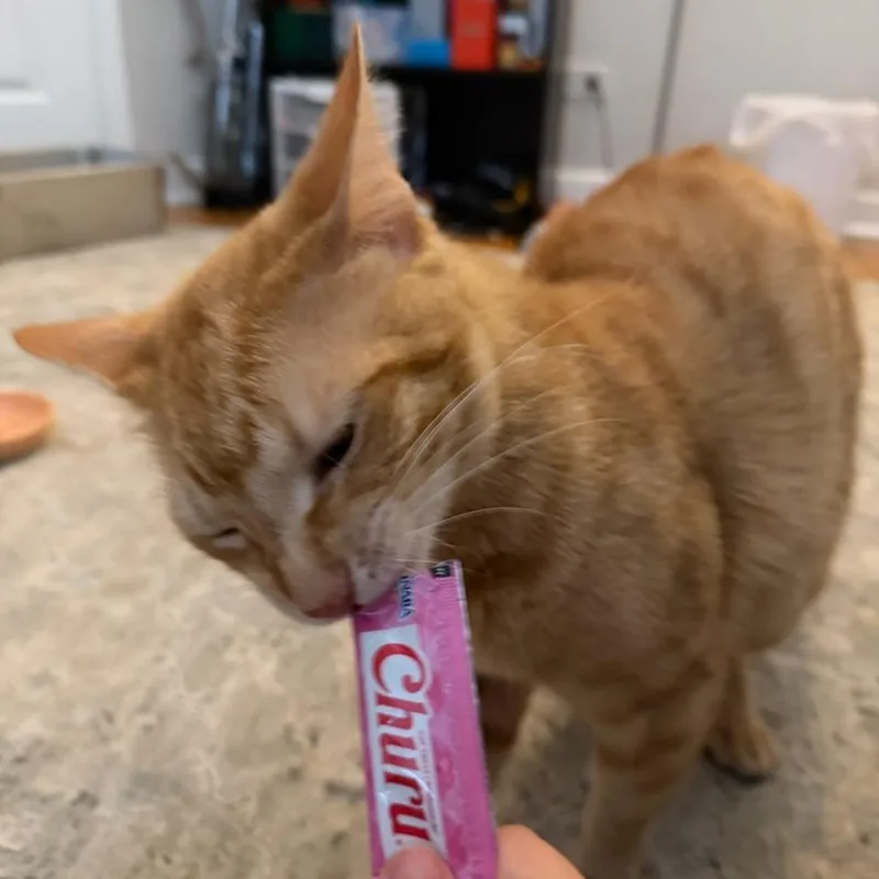 Mouth thumbnail 3