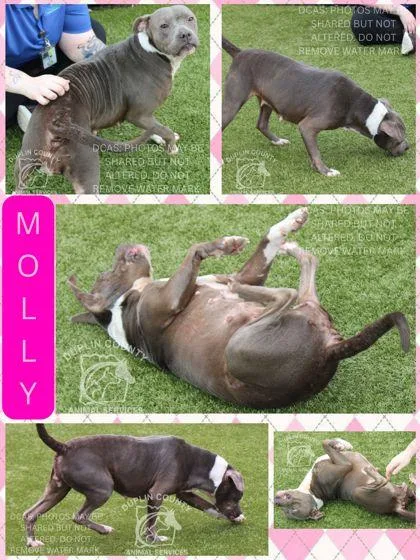 Molly