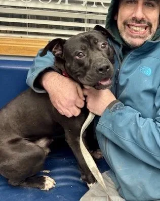 Finnegan thumbnail 3