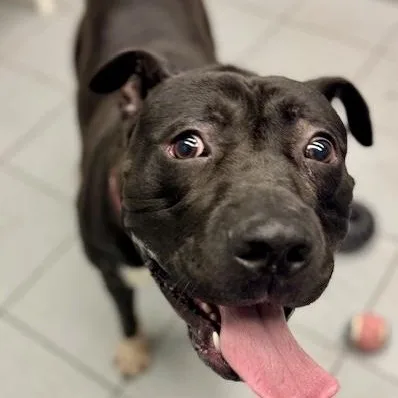 Finnegan thumbnail 5