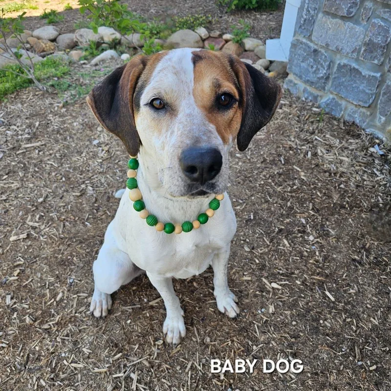 Baby Dog thumbnail 2