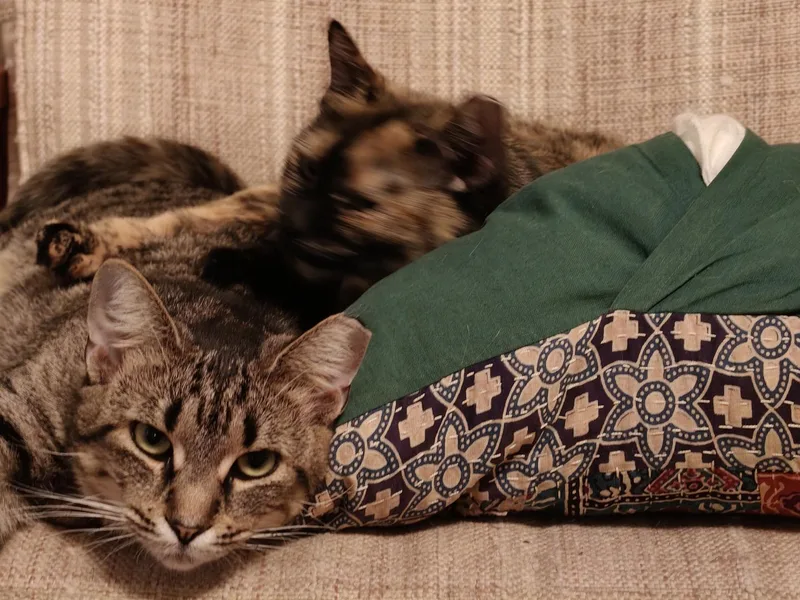 Rickie and Rizzie Ridgewood thumbnail 3