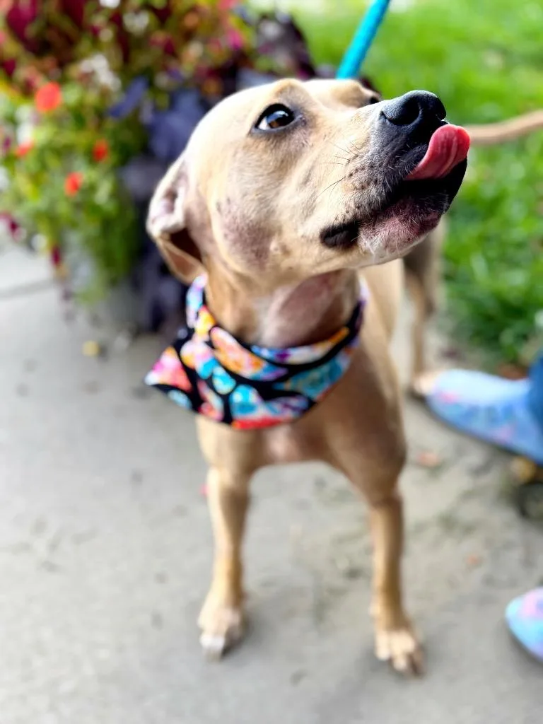 Sadie Sue thumbnail 3
