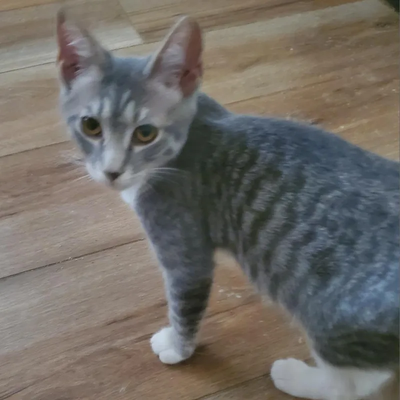 Sophie thumbnail 3