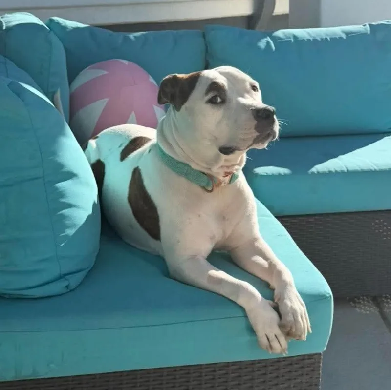 Chloe thumbnail 3