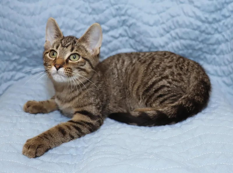 Kiki thumbnail 3
