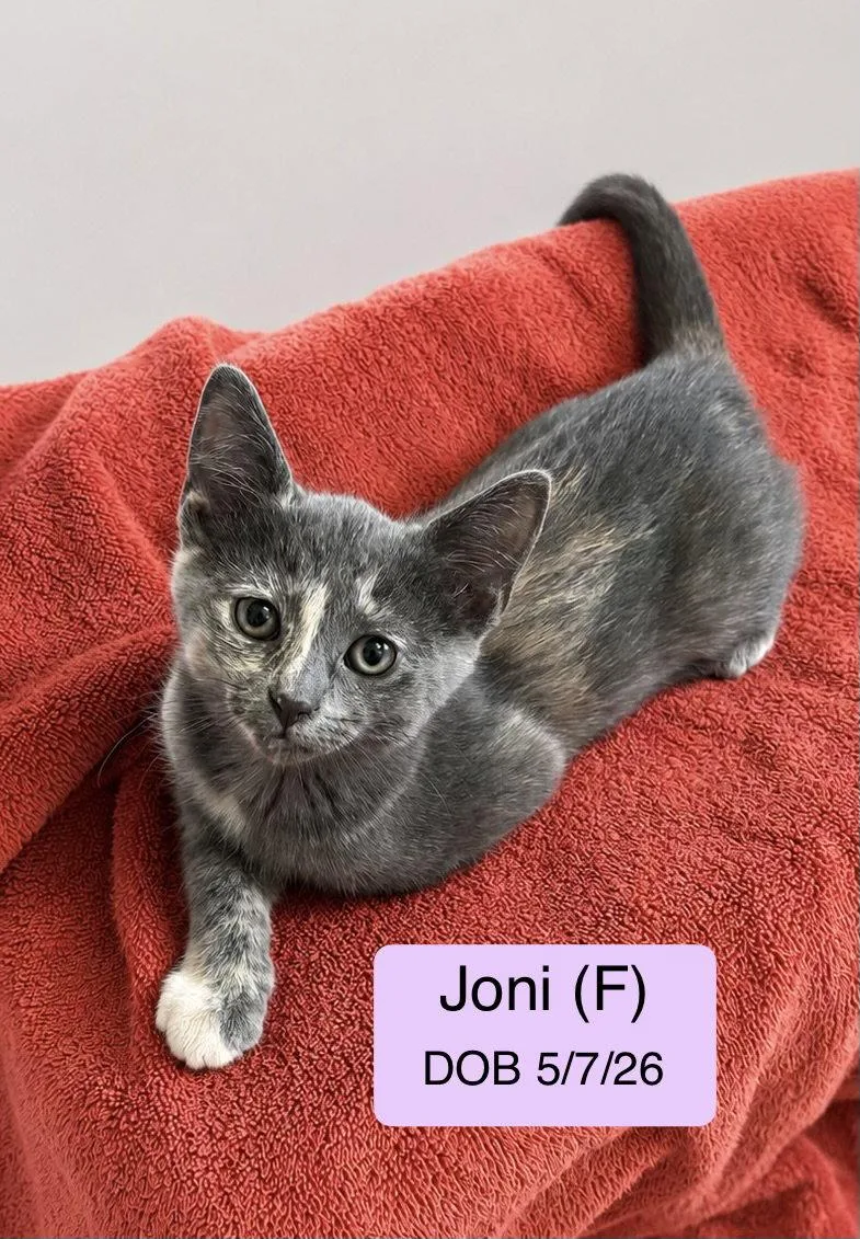 Joni