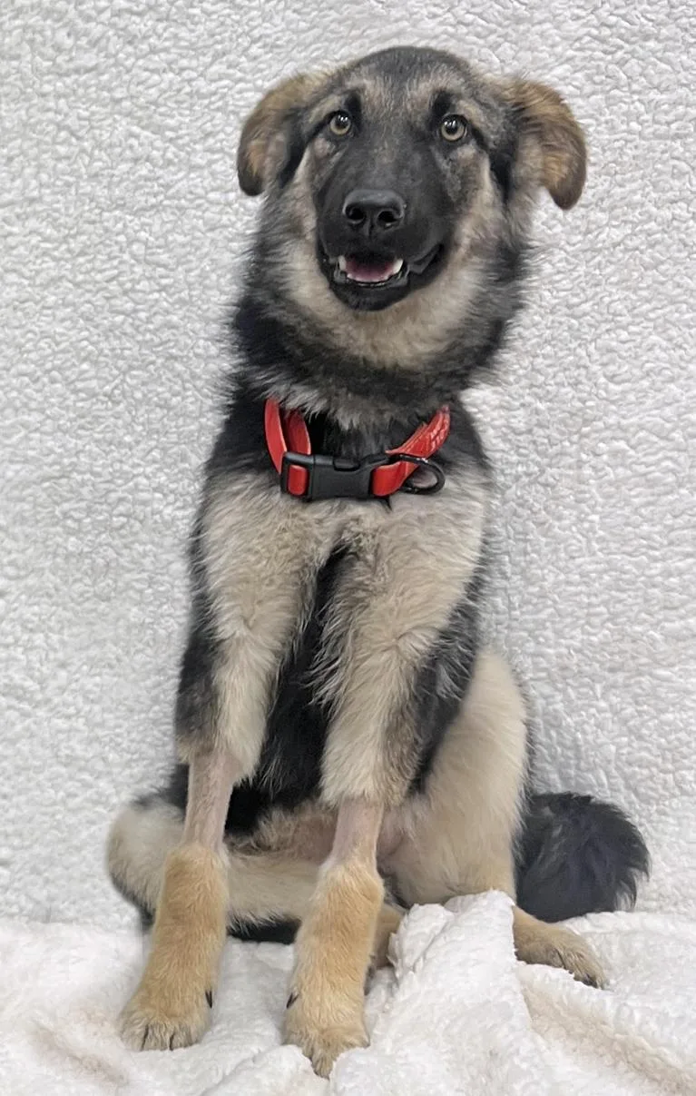 Mary Kate Von Mehren thumbnail 4