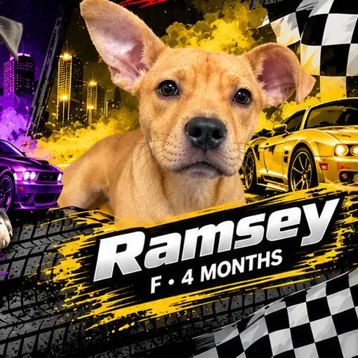 Ramsey thumbnail 3