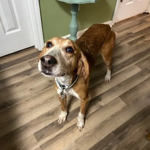 Guest Post Laney thumbnail 3