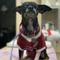 Leonardo thumbnail 5