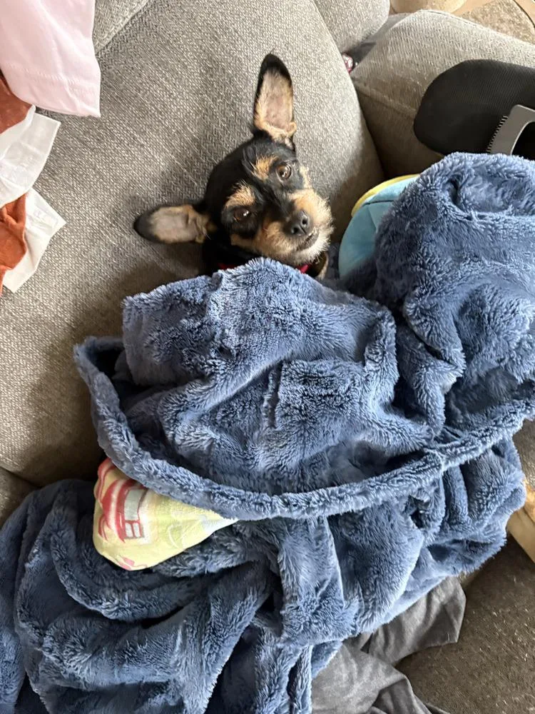 MiMi aka Bex