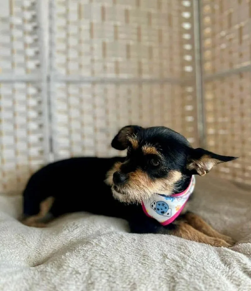 MiMi aka Bex thumbnail 2
